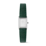 dong-ho-dw-bound-mini-green-lizard-silver